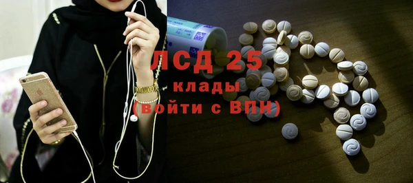 МДПВ Бородино