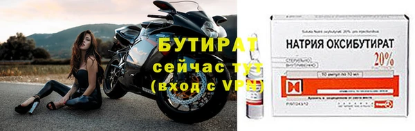 МДПВ Бородино