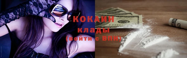 МДПВ Бородино