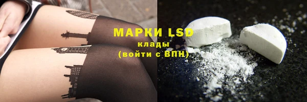 МДПВ Бородино