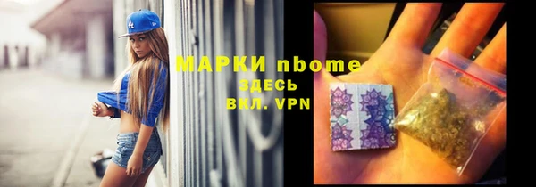 МДПВ Бородино