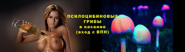 МДПВ Бородино