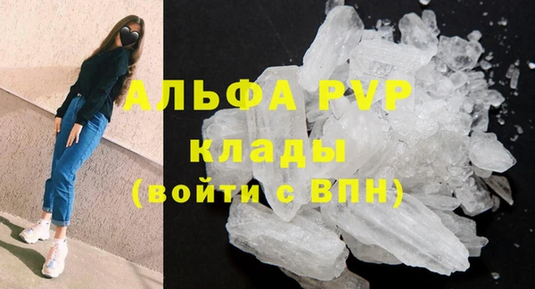 гашик Белокуриха