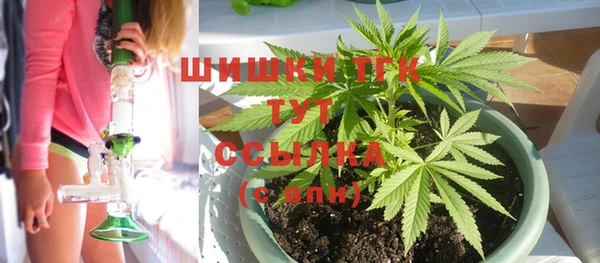 МДПВ Бородино