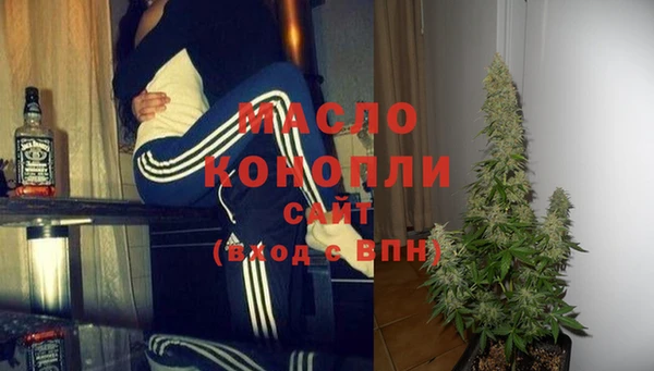 МДПВ Бородино